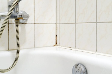 Grout repairs Mouldy tiles in shower in bad need of repair.